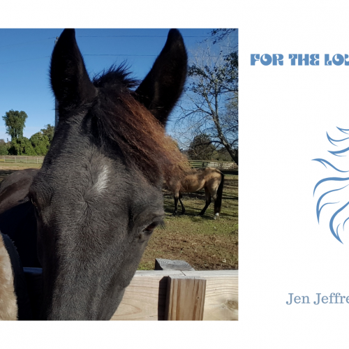 For the Love of a Horse For the Love of a Horse