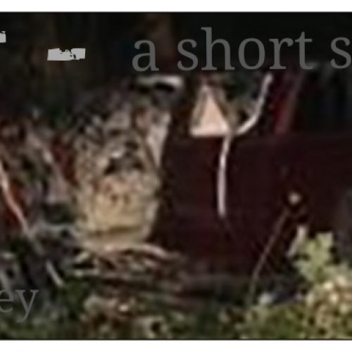 Screenshot_20210215-114149_Chrome_20210215114840356_20210307111943257_20210711163622192